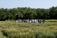 Plant Path Wheat Field Day 5-Jun-23
