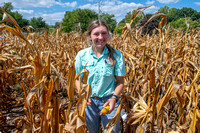 Students Collecting Research Corn