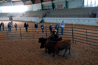 Livestock Selection Class