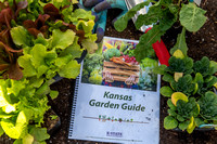 Garden Guide 2023-4