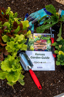 Garden Guide 2023-12