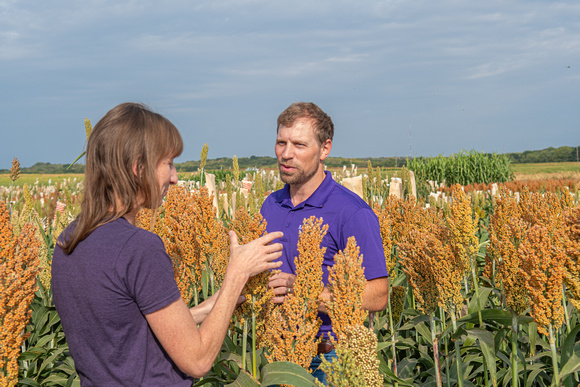 Sorghum Innovation Center-10