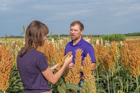 Sorghum Innovation Center-13