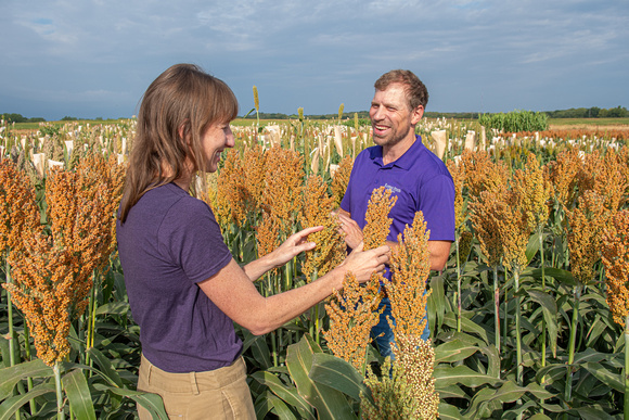 Sorghum Innovation Center-18