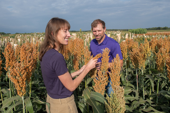 Sorghum Innovation Center-20