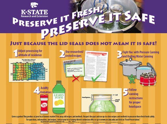 foodprocessingsafety-infographic-preserveitsafe